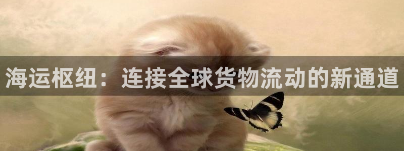 k 豆钱包 app