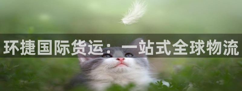 k豆钱包提现