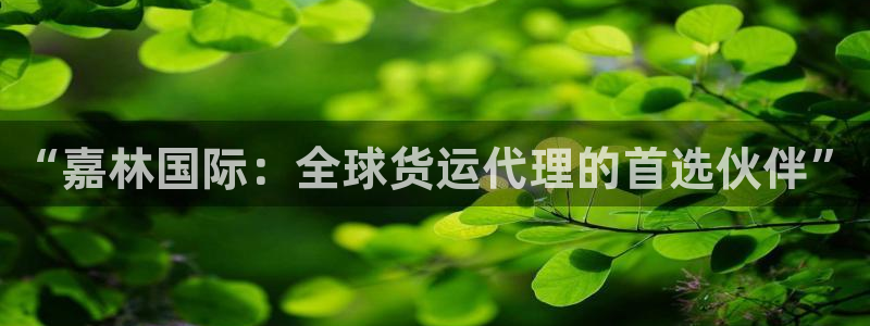 k豆钱包是干嘛的