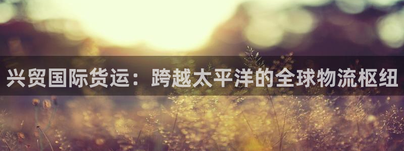 k豆钱包网址